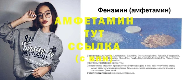 прущие грибы Баксан