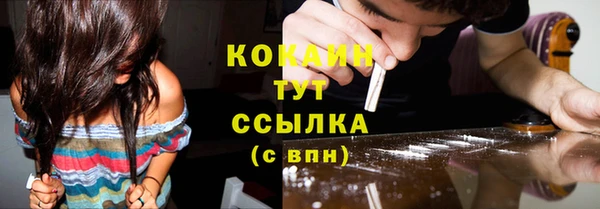 прущие грибы Баксан