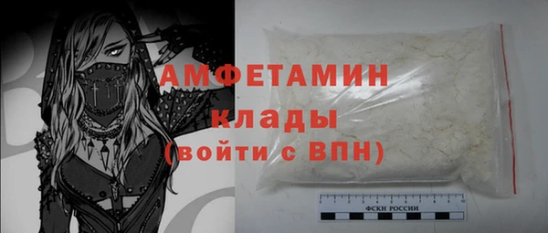 прущие грибы Баксан