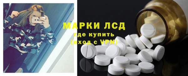 прущие грибы Баксан