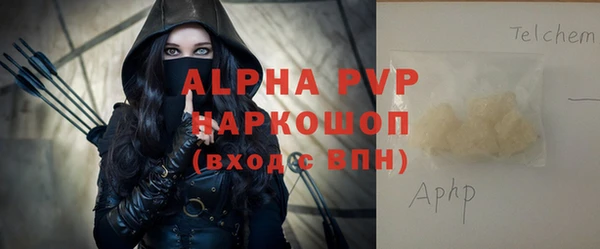 прущие грибы Баксан
