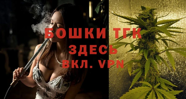 прущие грибы Баксан