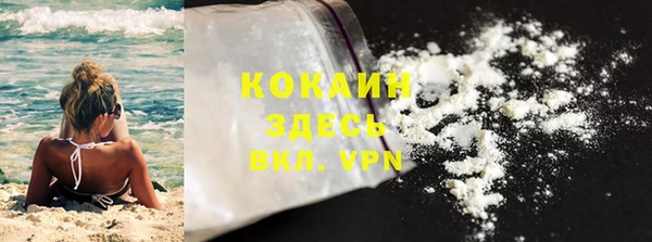 прущие грибы Баксан