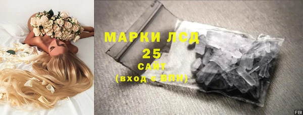 прущие грибы Баксан