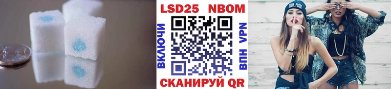блэк спрут   Урень  Лсд 25 экстази ecstasy 