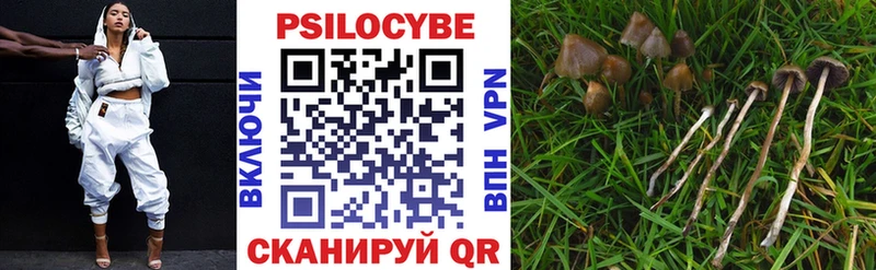 Галлюциногенные грибы MAGIC MUSHROOMS  продажа наркотиков  Урень 