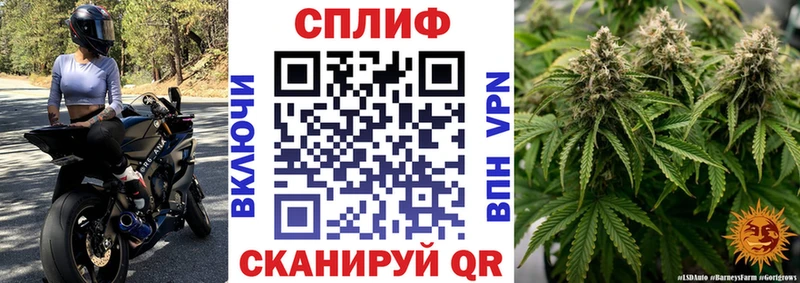Марихуана семена  это формула  Урень 